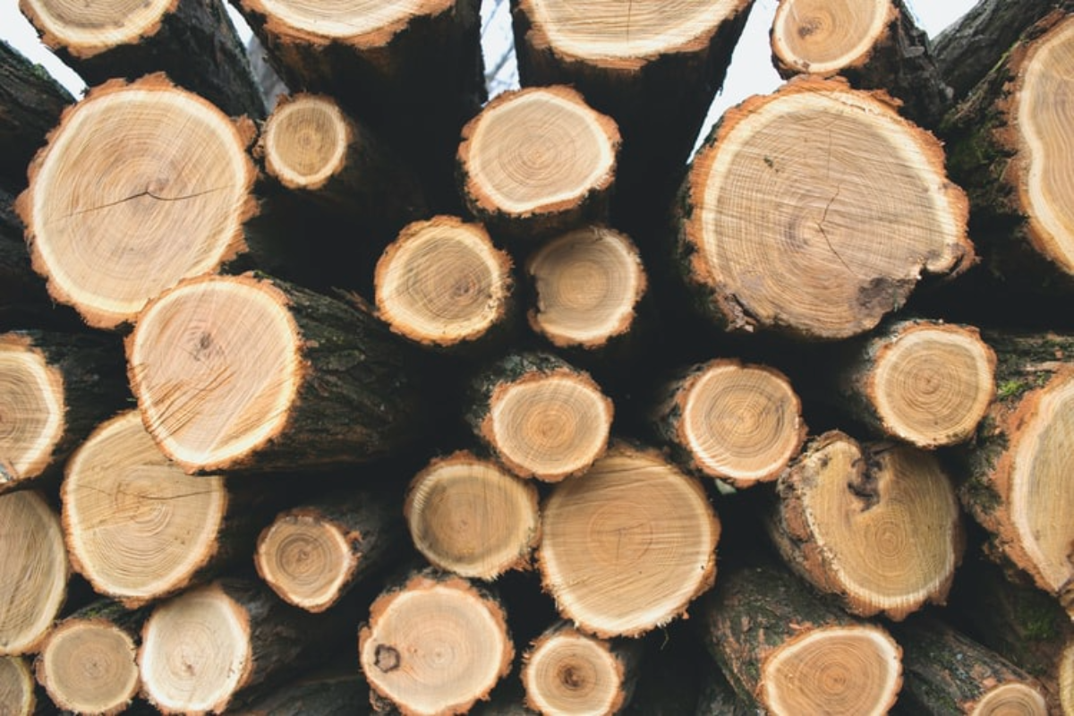 timber shortage